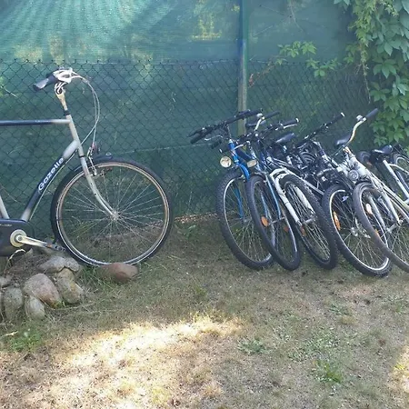 Villa Na Jeziorem Wilczynskim Budzislawskim , Las, Osobno Ogrodzony 2-6 Osob- Klimatyzacja, Ogrzewanie, 62-550 Zygmuntowo Gm Wilczyn Zygmuntowo (Konin)