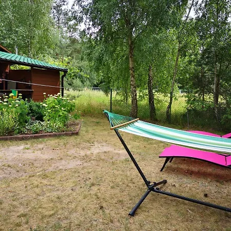 Villa Na Jeziorem Wilczynskim Budzislawskim , Las, Osobno Ogrodzony 2-6 Osob- Klimatyzacja, Ogrzewanie, 62-550 Zygmuntowo Gm Wilczyn