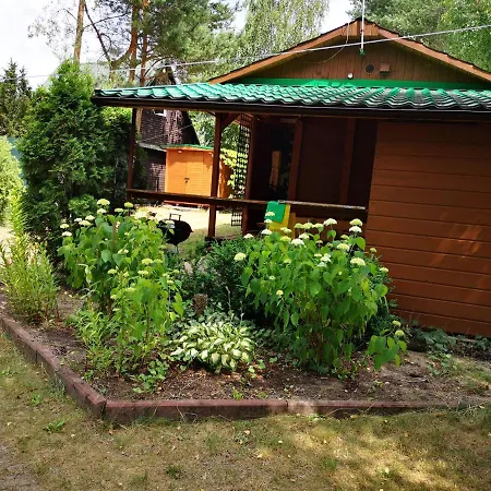 Villa Na Jeziorem Wilczynskim Budzislawskim , Las, Osobno Ogrodzony 2-6 Osob- Klimatyzacja, Ogrzewanie, 62-550 Zygmuntowo Gm Wilczyn *