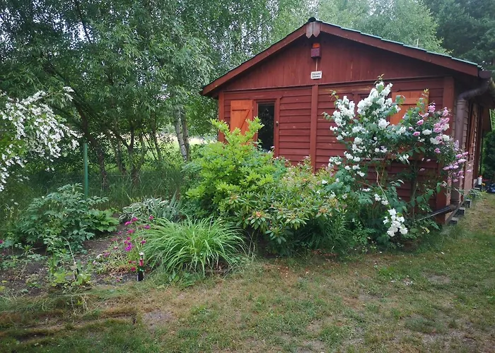 Villa Na Jeziorem Wilczynskim Budzislawskim , Las, Osobno Ogrodzony 2-6 Osob- Klimatyzacja, Ogrzewanie, 62-550 Zygmuntowo Gm Wilczyn *