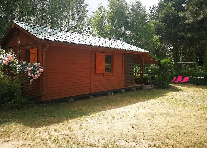 Na Jeziorem Wilczynskim Budzislawskim , Las, Osobno Ogrodzony 2-6 Osob- Klimatyzacja, Ogrzewanie, 62-550 Zygmuntowo Gm Wilczyn Zygmuntowo (Konin)