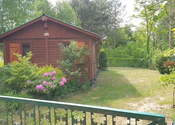 Na Jeziorem Wilczynskim Budzislawskim , Las, Osobno Ogrodzony 2-6 Osob- Klimatyzacja, Ogrzewanie, 62-550 Zygmuntowo Gm Wilczyn * Zygmuntowo (Konin)