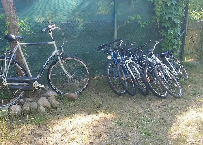 Villa Na Jeziorem Wilczynskim Budzislawskim , Las, Osobno Ogrodzony 2-6 Osob- Klimatyzacja, Ogrzewanie, 62-550 Zygmuntowo Gm Wilczyn Zygmuntowo (Konin)