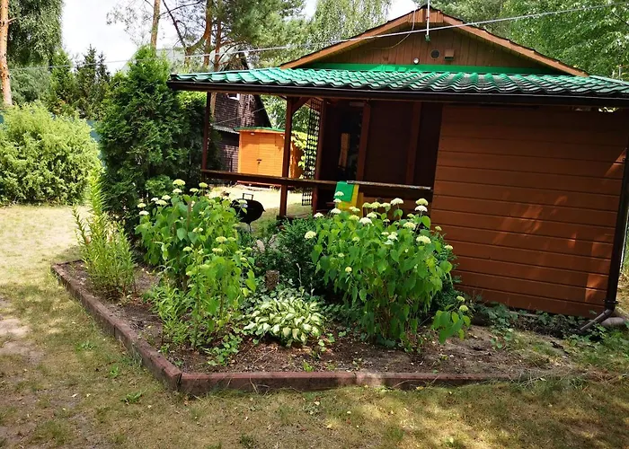 Villa Na Jeziorem Wilczynskim Budzislawskim , Las, Osobno Ogrodzony 2-6 Osob- Klimatyzacja, Ogrzewanie, 62-550 Zygmuntowo Gm Wilczyn *