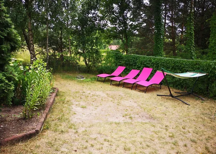 Na Jeziorem Wilczynskim Budzislawskim , Las, Osobno Ogrodzony 2-6 Osob- Klimatyzacja, Ogrzewanie, 62-550 Zygmuntowo Gm Wilczyn * Zygmuntowo (Konin)