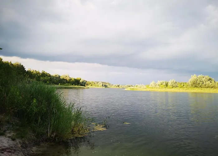 Villa Na Jeziorem Wilczynskim Budzislawskim , Las, Osobno Ogrodzony 2-6 Osob- Klimatyzacja, Ogrzewanie, 62-550 Zygmuntowo Gm Wilczyn Zygmuntowo (Konin)