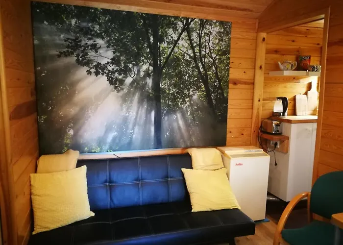 Villa Na Jeziorem Wilczynskim Budzislawskim , Las, Osobno Ogrodzony 2-6 Osob- Klimatyzacja, Ogrzewanie, 62-550 Zygmuntowo Gm Wilczyn Zygmuntowo (Konin)